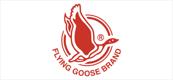 Flying Goose